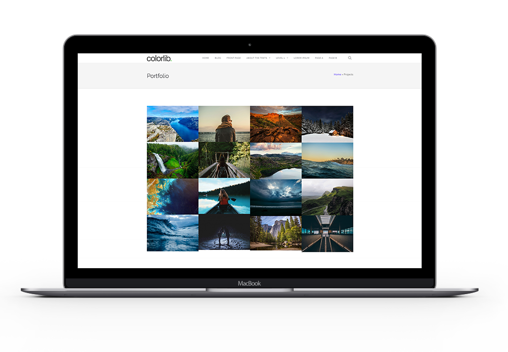 portfolio